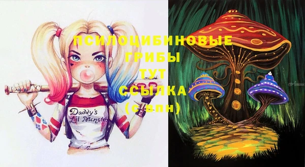 круглые Семёнов